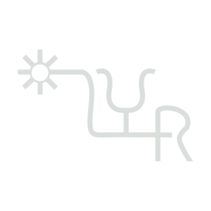 Sun icon with stylized Punjabi text representing Yellow Rose Staging brand logo